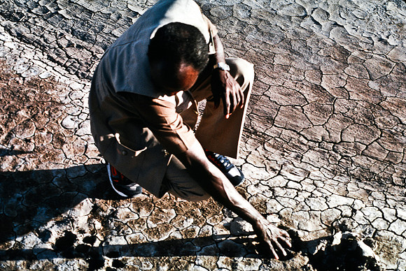 55457_SL_COLOR_LIONS_TRACKS_KENYA_AFRICA_1989-2