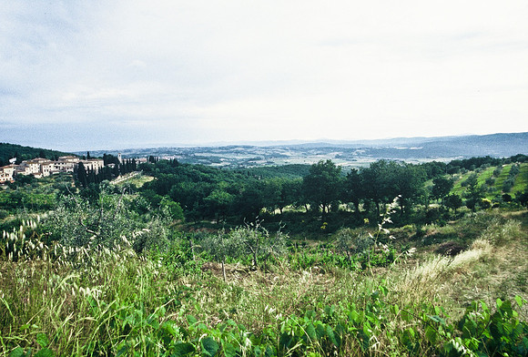 37341_SL_COLOR_ITALY_2000_1
