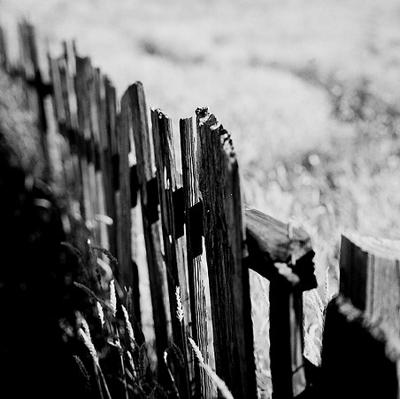 2379_FM_BW_SQ_MENDOCINO_CA_02_3-2.jpg