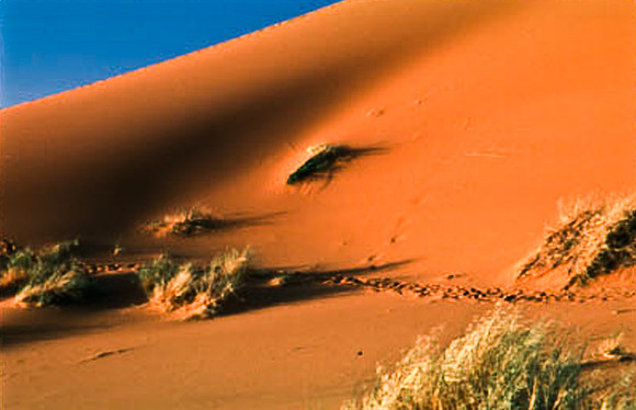 3214_SL_COLOR_MERZOUGA_MAROCCO_II_1998