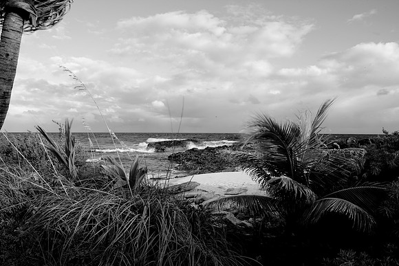36163_DG_Color_USA_Harbour_Island_Bahamas_Related_GroupZV4N1750