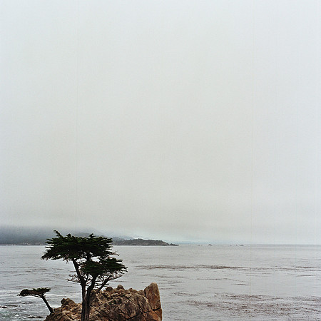 2369_FM_COLOR_CARMEL_CA_02_9.jpg