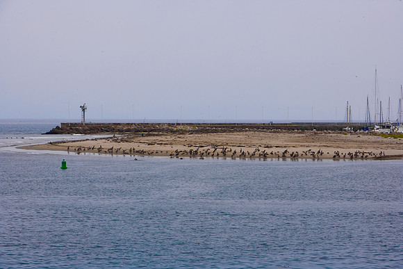 06584_ZV4N_1730_USA