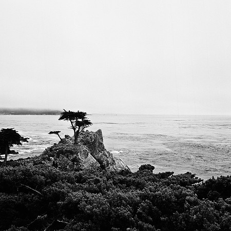 2368_FM_BW_CARMEL_CA_02_7.jpg