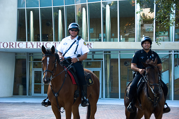 84781_DSC_1033_FL_Miami_USA