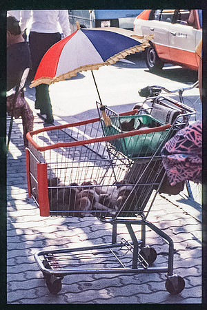1988_Korea_061