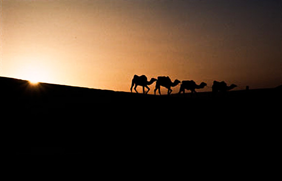 3201_SL_COLOR_MERZOUGA_SHAHARA_MAROCCO_II_1998_15