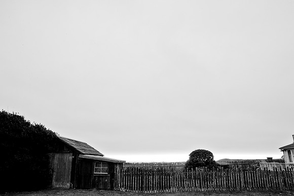 5L8Y0610