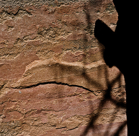 6125_COLOR_SQ_Grand_Cayon_National_Park_ARIZONA_USA_05_4.jpg