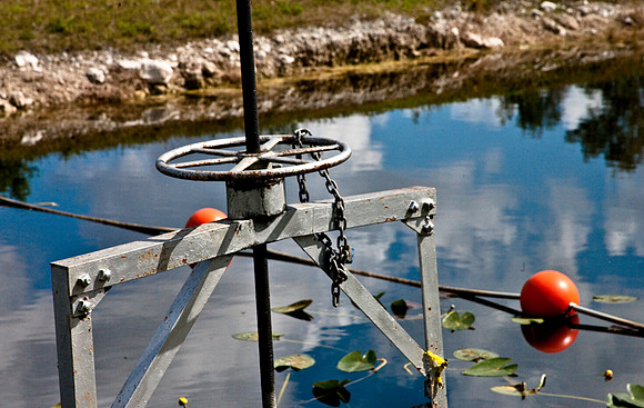 2527_EVERGLADES_MIAMI_FLORIDA_AOM_20090315__A0M1177