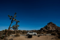 06646_DG_COLOR_JOSHUA_TREE_NAT_PARK_29_PALMS_CALIFORNIA_CA_USA_2007_ZV4N_455