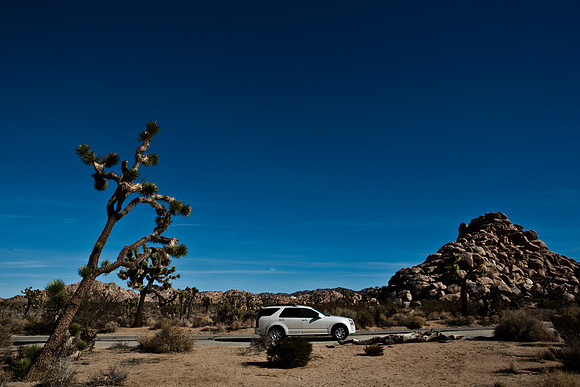 06646_DG_COLOR_JOSHUA_TREE_NAT_PARK_29_PALMS_CALIFORNIA_CA_USA_2007_ZV4N_455