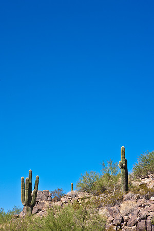 0031_La_Arizona_5L8Y5425
