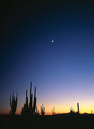 4000_20080719_ADS_Mexican_Landscape_Mexico_023