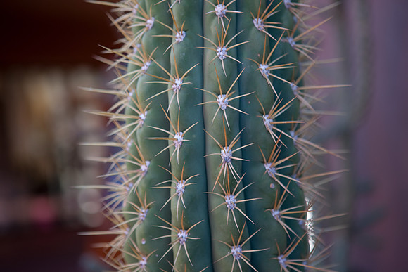 20080916_DVD57_DG_USA_Sedona_7481_full_blead