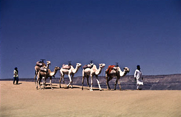 3190_SL_COLOR_TAMGROUTE_DUNES_MAROCCO_II_1998_8