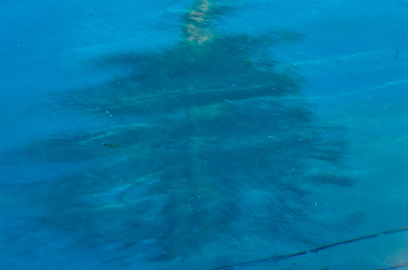 85488_1664_Fisher_Island_FL_USA_reflections