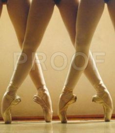 0221aea1b95bcc2ed3118e839443f795