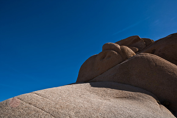 06646_DG_COLOR_JOSHUA_TREE_NAT_PARK_29_PALMS_CALIFORNIA_CA_USA_2007_ZV4N_479