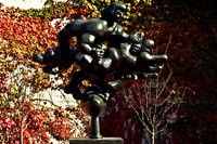 0258_FM_COLOR_MINESOTA_99_09.jpg