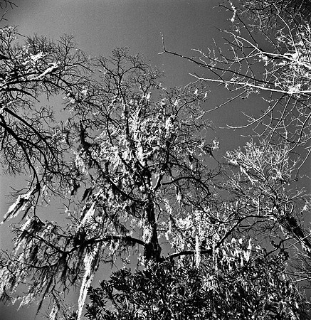 7747_FL_BW_LOUISIANA_01_11.jpg