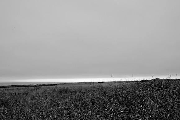 5L8Y0540