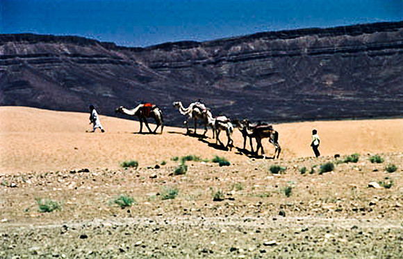 3191_SL_COLOR_TAMGROUTE_DUNES_MAROCCO_II_1998_1