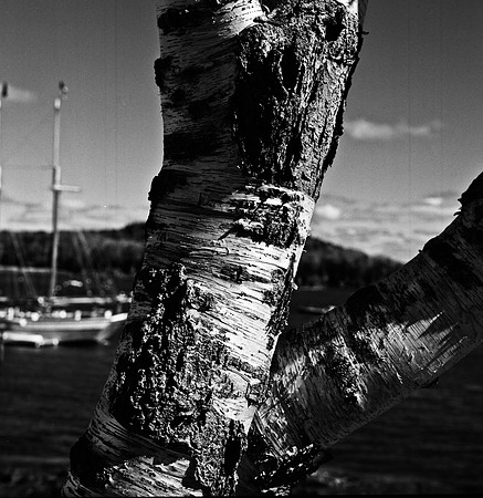 2253_FM_BW_CA_02_4.jpg