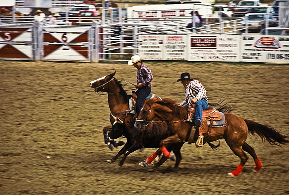 47490_B6_SL_COLOR_TRINIDAD_RODEO_CO_97_11.jpg