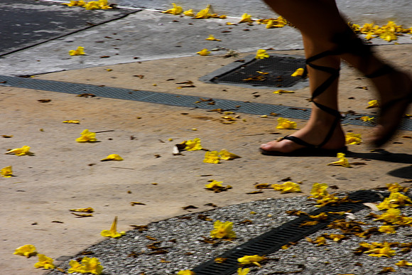 84757_20080505-IMG_1567_Lincoln_Road