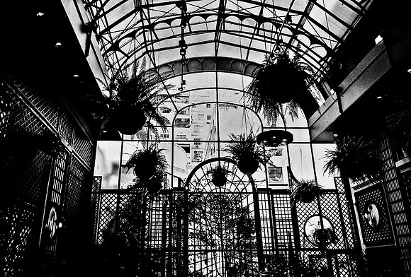 2667_FM_BW_35MM_BUENOS_AIRES_ARGENTINA_2004_8