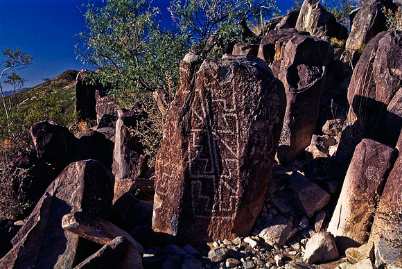 47899_B16_SL_COLOR_TREE_RIVER_PETROGLYTH_NAT_RES_NAT_MNT_HWY LOOP20_NM_97_1515.jpg