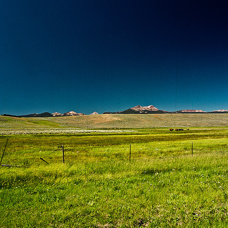 2408_FM_COLOR_ID_02.jpg