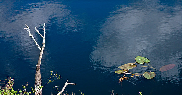2527_EVERGLADES_MIAMI_FLORIDA_AOM_20090315__A0M1170