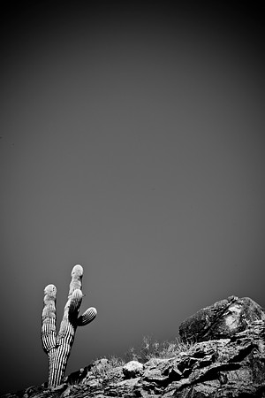 0031_La_Arizona_5L8Y5502