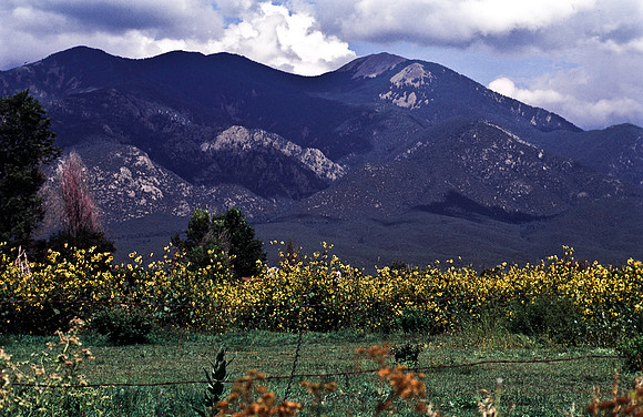 37866_B15_SL_COLOR_TAOS_NM_97_13.jpg