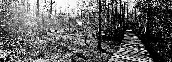 7749_FL_BW_LOUISIANA_01_2.jpg