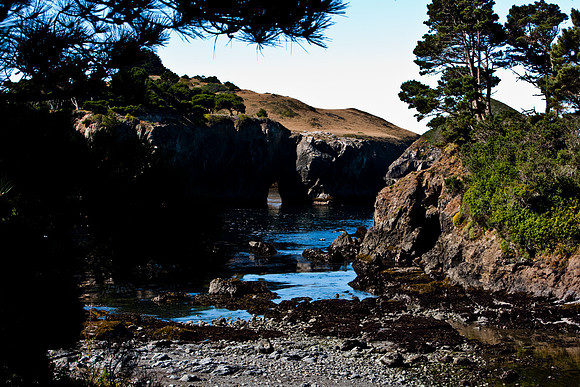 36538_DG_COLOR_MENDOCINO_CALIFORNIA_CA_USA_2007_ZV4N_2752