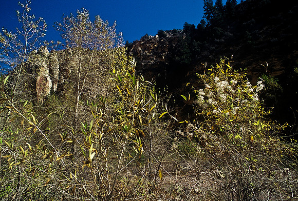 47334_B2_SL_COLOR_US_TOUR_FLAMING_GORGE_WY_97_05.jpg