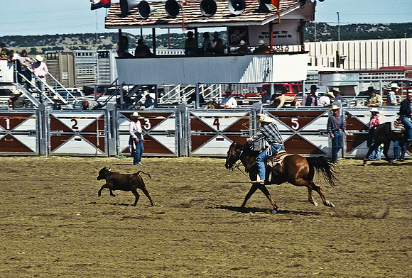 47489_B6_SL_COLOR_TRINIDAD_RODEO_CO_97_17.jpg