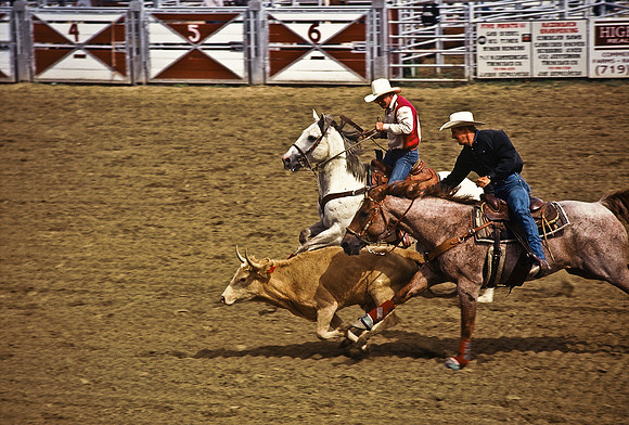 47490_B6_SL_COLOR_TRINIDAD_RODEO_CO_97_04.jpg