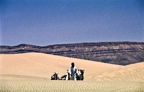 3191_SL_COLOR_TAMGROUTE_DUNES_MAROCCO_II_1998_18
