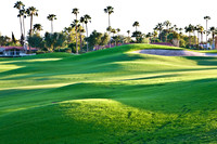 0031_La_Arizona_5L8Y5084