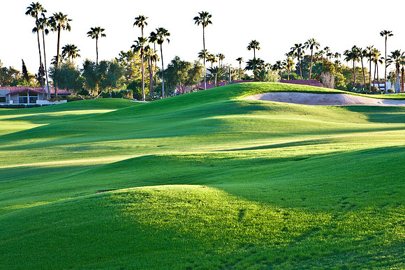 0031_La_Arizona_5L8Y5084