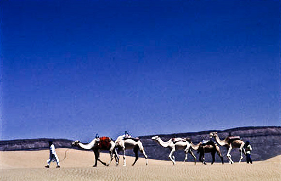 3192_SL_COLOR_TAMGROUTE_DUNES_MAROCCO_II_1998_1