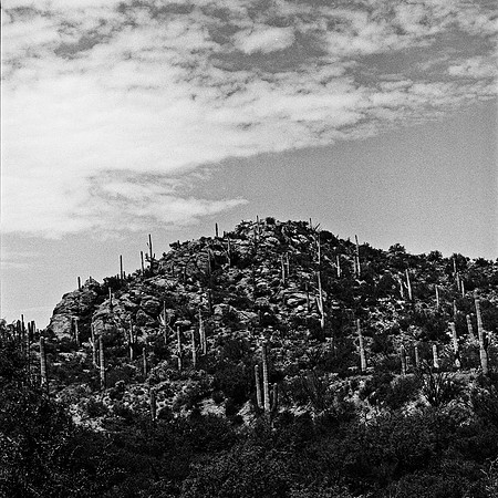 6021_FM_BW_GRAND_CANYON_AZ_05_7.jpg