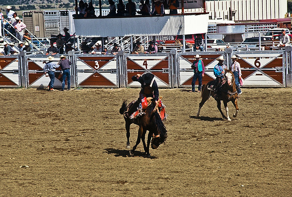 47495_B6_SL_COLOR_TRINIDAD_RODEO_CO_97_01.jpg