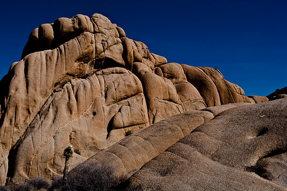 06646_DG_COLOR_JOSHUA_TREE_NAT_PARK_29_PALMS_CALIFORNIA_CA_USA_2007_ZV4N_467