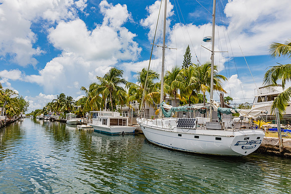 20160714_Key_West_Little_Palm_075A0658