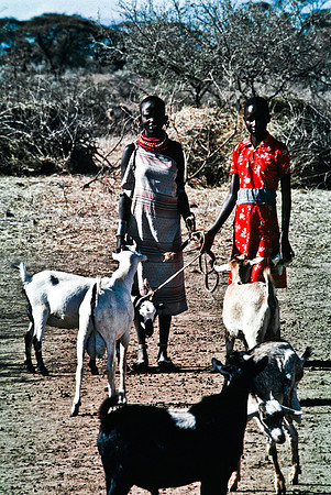 55442_SL_COLOR_TRIBE_LAKE_BARINGO_KENYA_AFRICA_1989_3